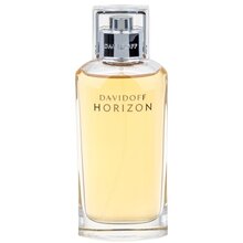 Horizon EDT